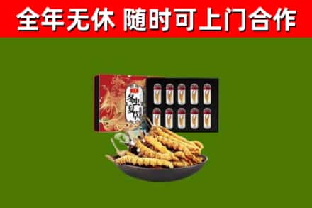 聂拉木回收冬虫夏草价格